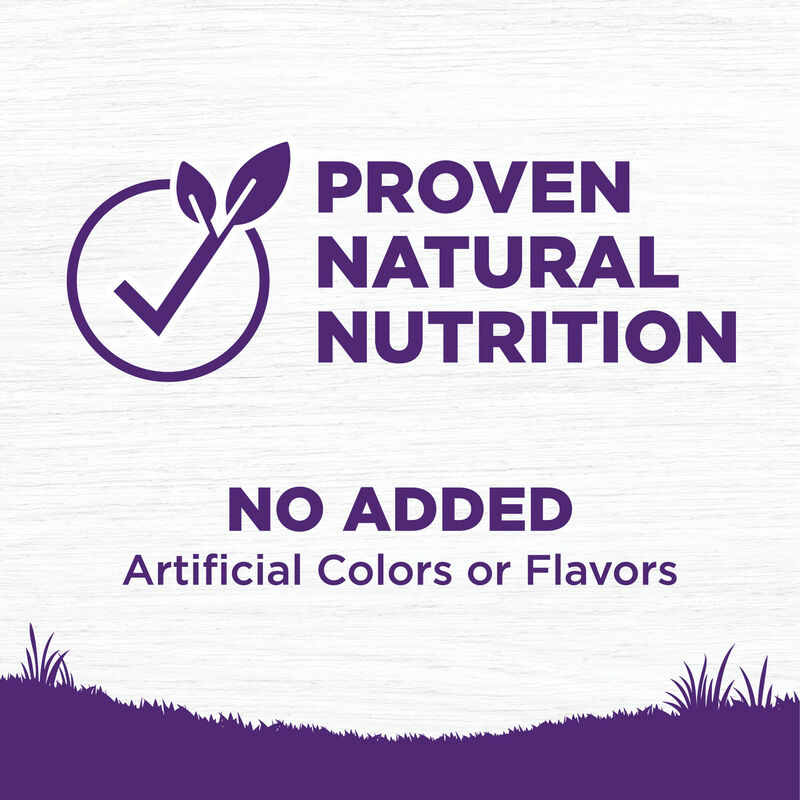 Wellness, Complete Health, Puppy Deboned Chicken, Oatmeal & Salmon - Dry Dog Food image number null