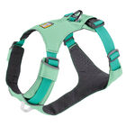 Ruffwear, Hi & Light Harness - Sage Green image number null