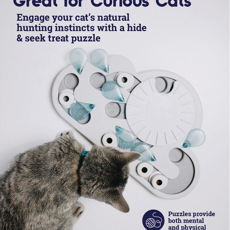 PetStages, Puzzle & Play Rainy Day - Grey image number null