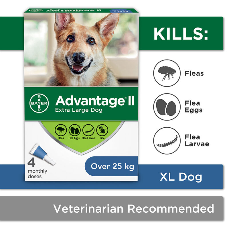 Advantage II, Extra Large Dog Flea Treatment & Protection, >25kg image number null