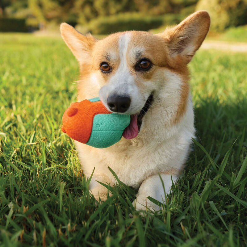 Bionic Super Squeak Bear Dog Toy  image number null
