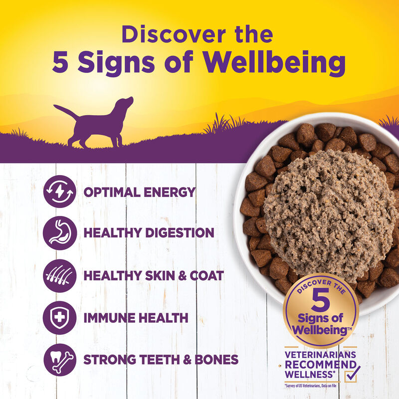 Wellness, Canned Dog Food, Chicken & Sweet Potato - Wet Dog Food image number null