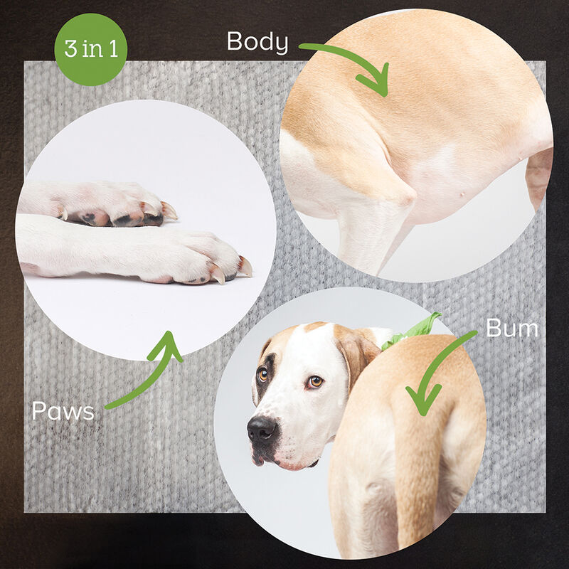 Earth Rated, Compostable Grooming Wipes - Lavender image number null