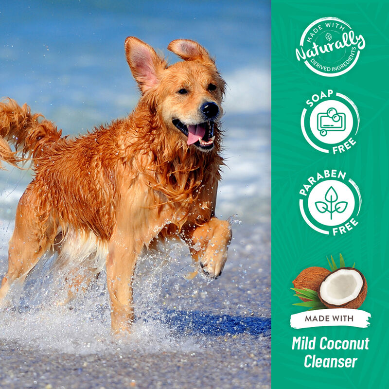 Tropiclean, Oatmeal & Tea Tree Shampoo image number null