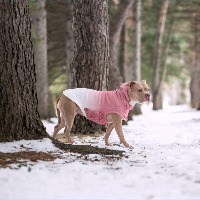 GF Pet, Good Vibes Hoodie - Pink image number null