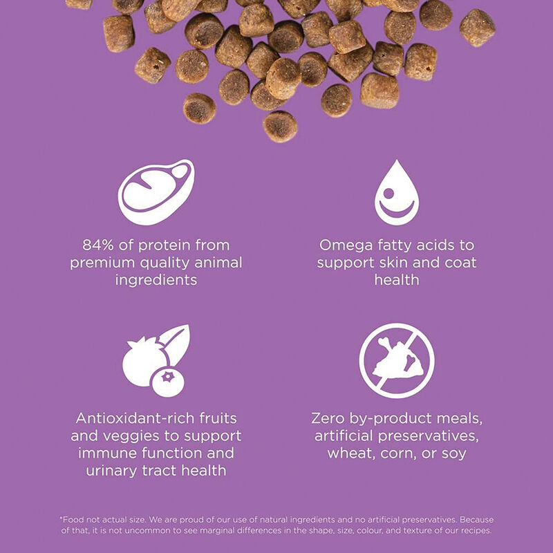 GO! SOLUTIONS CARNIVORE Grain Free Chicken, Turkey + Duck Recipe for cats image number null