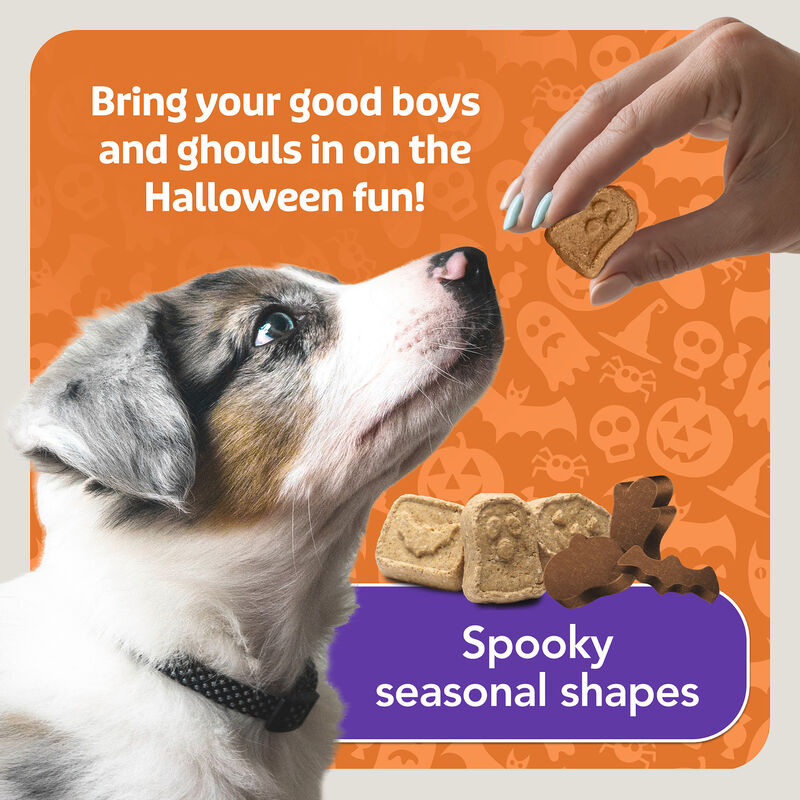 Blue Buffalo, Boo Bits - Chicken - 128 g - Dog Treat image number null