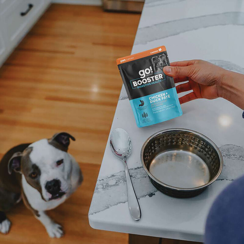 GO! SOLUTIONS,  BOOSTER Digestive Health Chicken + Duck Pate - 78 g - Wet Dog Food image number null