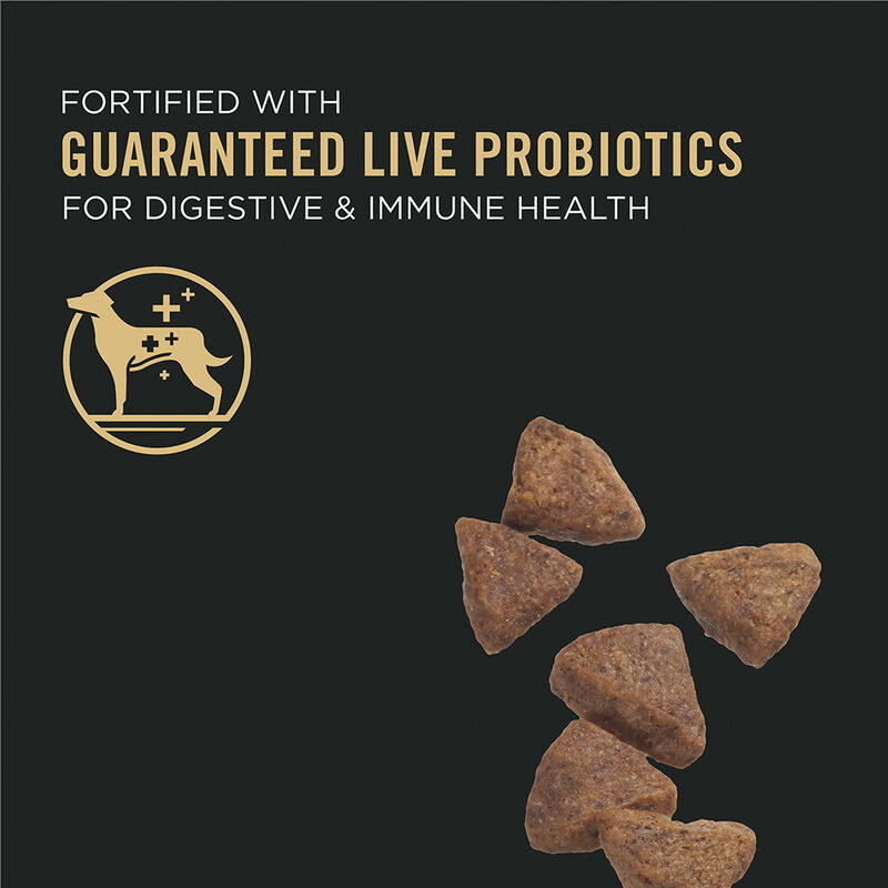Purina Pro Plan Specialized Sensitive Skin & Stomach Adult, Lamb & Oat Meal Dry Dog Food 7.26kg image number null