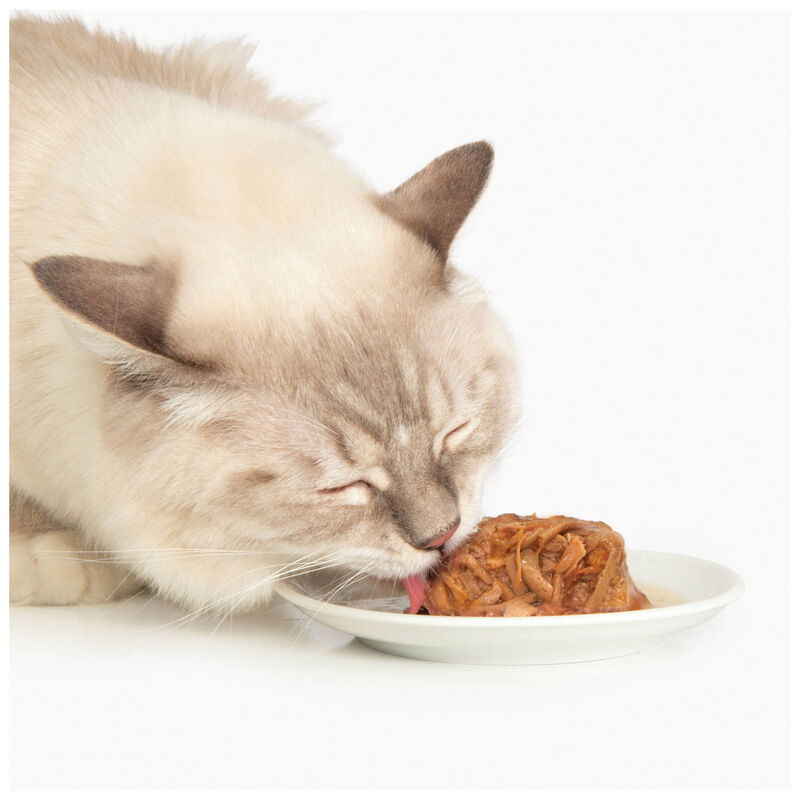 Catit, Grain Free - Chicken Dinner with Layer of Liver & Sweet Potato in Gravy - Wet Cat Food image number null