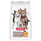Science Diet, Adult Multiple Benefit Chicken Recipe - Dry Cat Food image number null