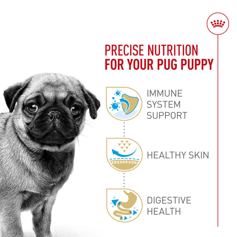 Royal Canin, Breed Health Nutrition Pug Puppy 2.5LBS - Dry Dog Food image number null