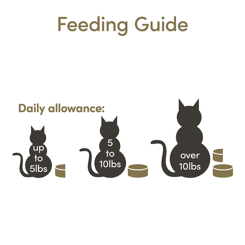 Applaws, Can, Feline Adult - Tuna Fillet - 70 g - Wet Cat Food image number null