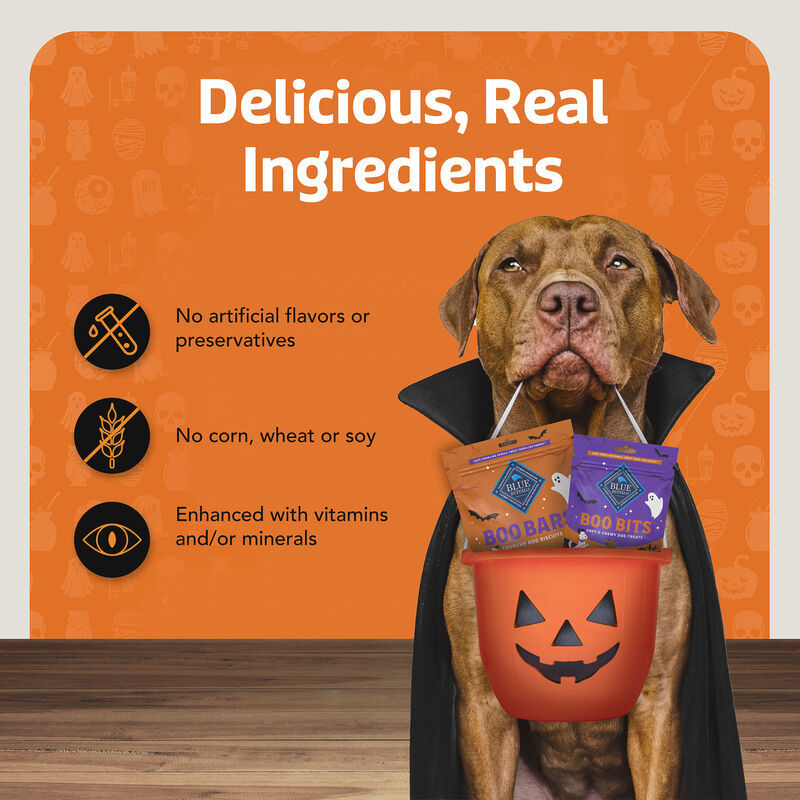 Blue Buffalo, Boo Bits - Chicken - 128 g - Dog Treat image number null