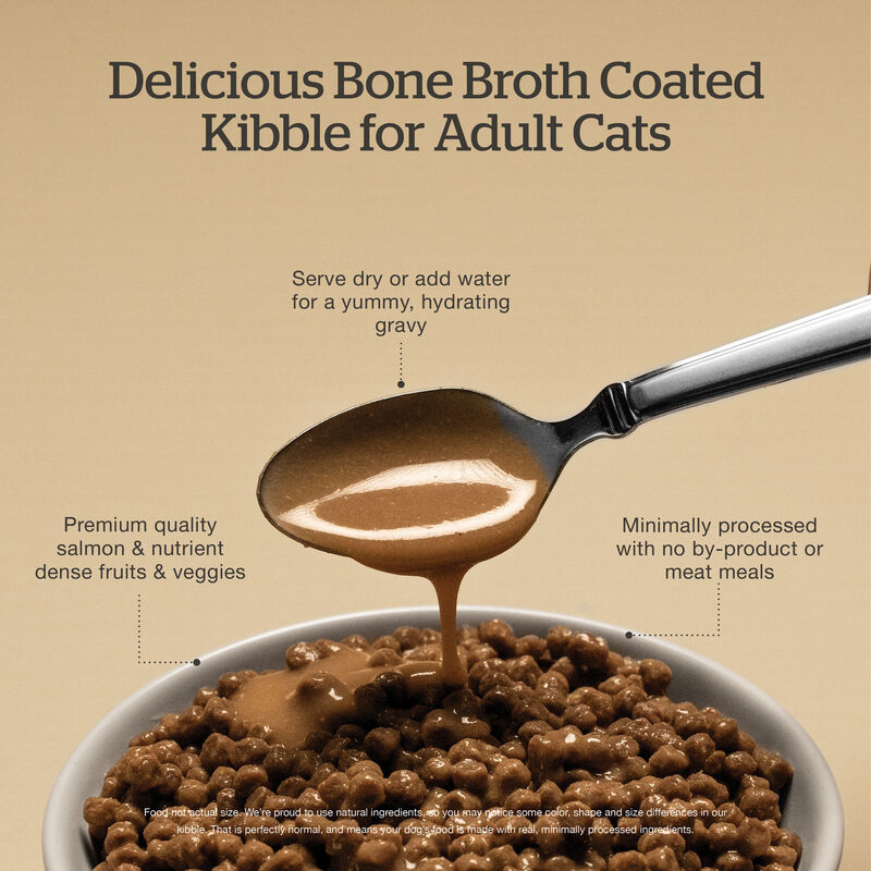 Good Gravy - Salmon Coated in Bone Broth - Dry Cat Food image number null