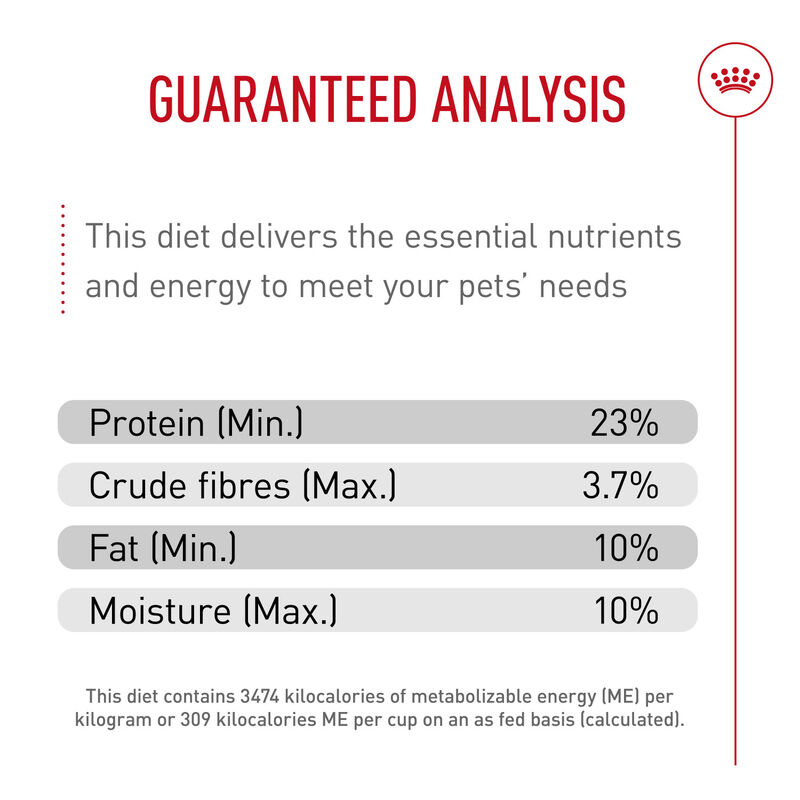Royal Canin, Breed Health Nutrition Miniature Schnauzer Adult - Dry Dog Food image number null