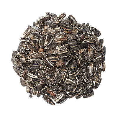Striped Sunflower - 50 lb