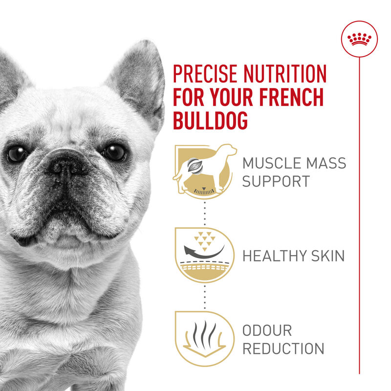 Royal Canin, Breed Health Nutrition French Bulldog Adult - Dry Dog Food image number null