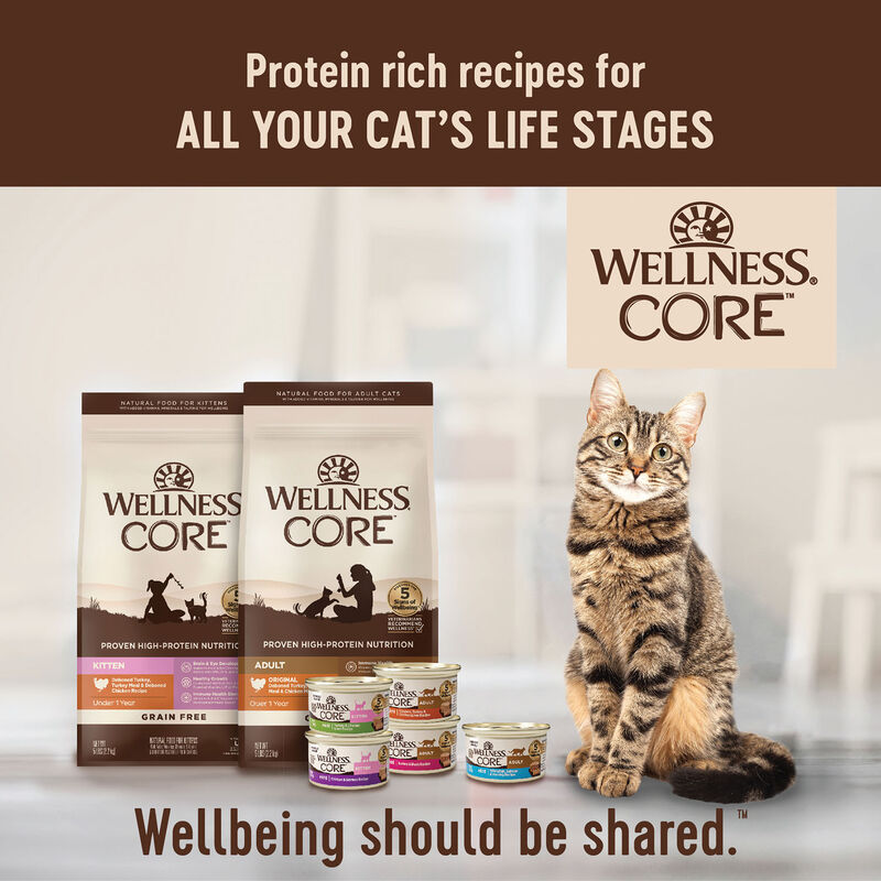 Wellness, Pouch, Feline Adult - Core Tiny Tasters - Chicken & Turkey - 50 g - Wet Cat Food image number null