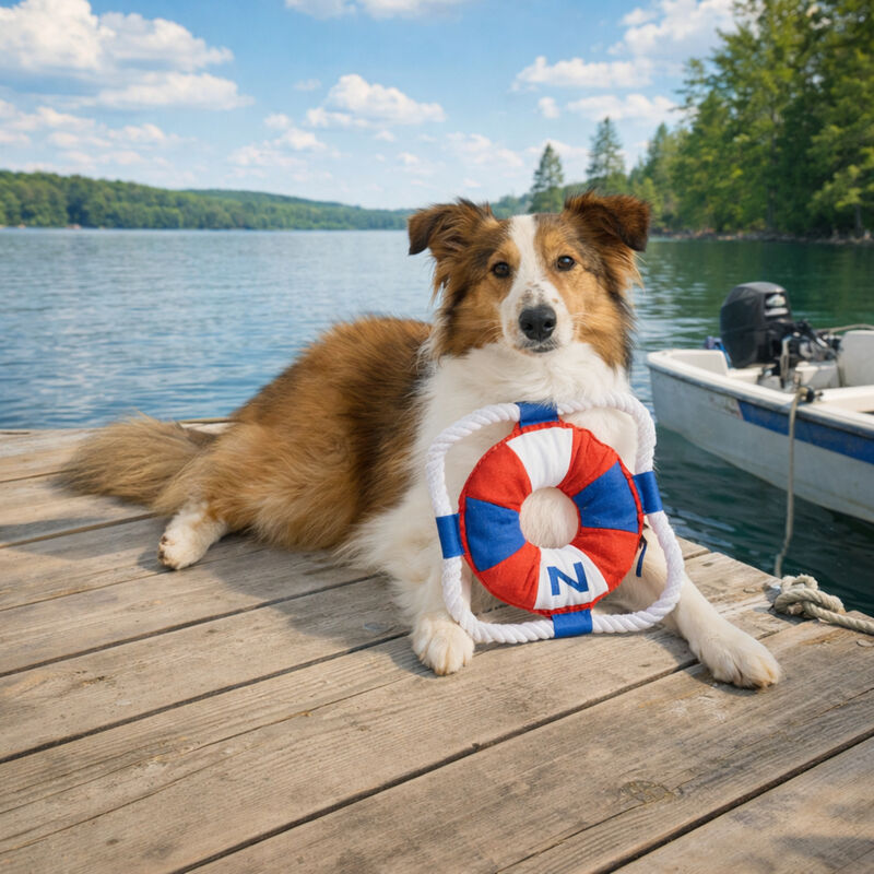 Nautica Lifebuoy Dog Toy image number null