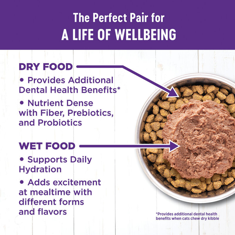 Wellness, Canned Cat Food, Complete Health, Turkey & Salmon - Wet Cat Food image number null