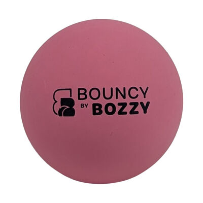 Bozzy Bouncy Ball for Dogs