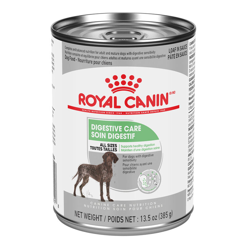 Royal Canin, Canine Care Nutrition Digestive Care Adult Loaf in Sauce - Wet Dog Food image number null