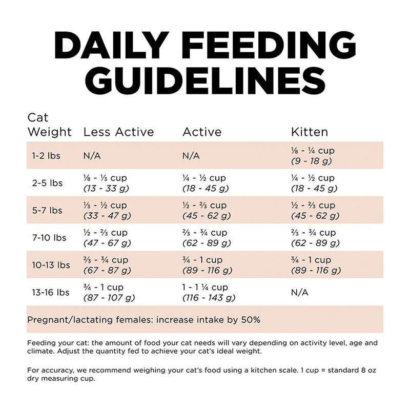 GO! SOLUTIONS, Feline Adult - Digestion & Gut Health - Salmon w/ Ancient Grains - Dry Cat Food image number null