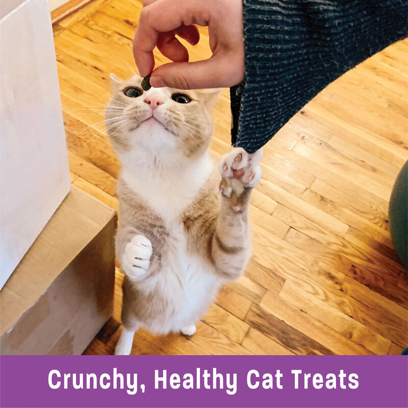 Wellness, Kittles Chicken & Cranberry - 2 oz - Cat Treat image number null