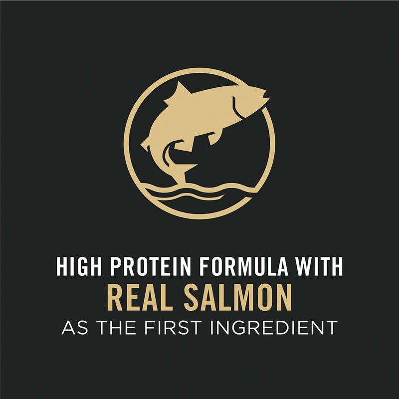Purina Pro Plan Sensitive Skin & Stomach Puppy  with Probiotics, Salmon & Rice, Dry Dog Food Formula image number null