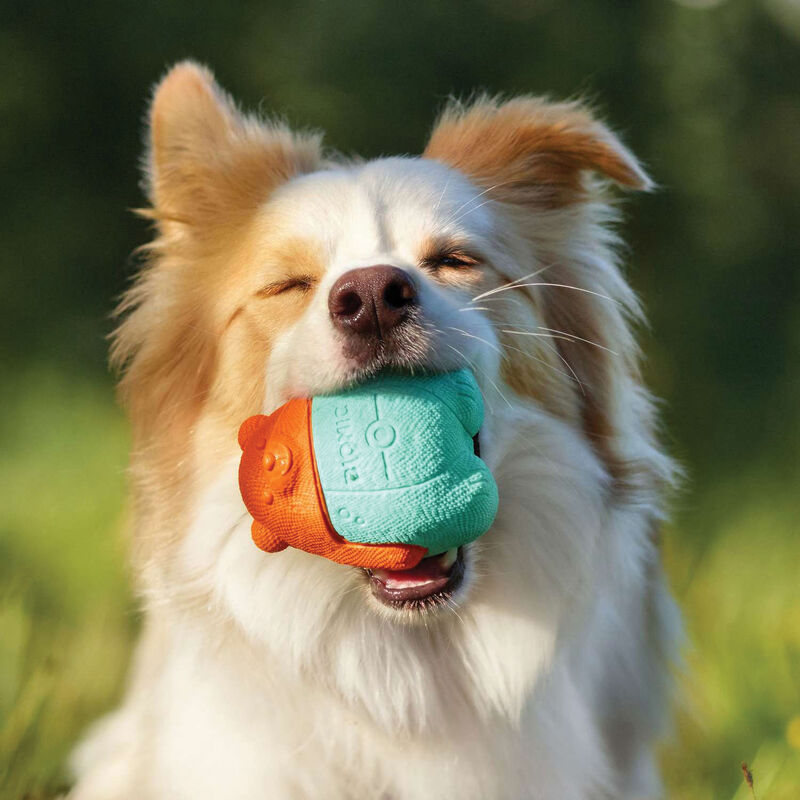 Bionic Super Squeak Bear Dog Toy  image number null