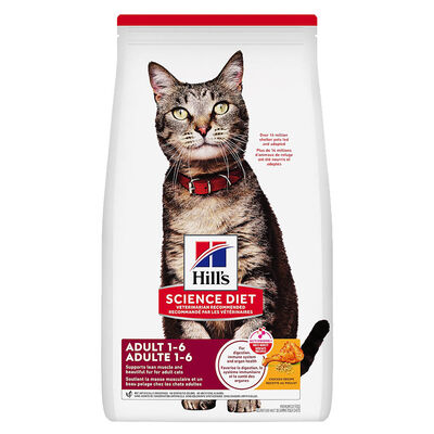 Science Diet, Adult Chicken Recipe Dry Cat Food