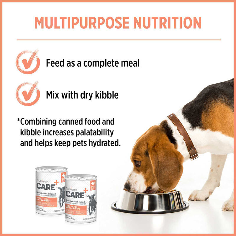 Nutrience, Care - Sensitive Skin & Stomach - Duck, Salmon & Pumpkin - 369 g - Wet Dog Food image number null