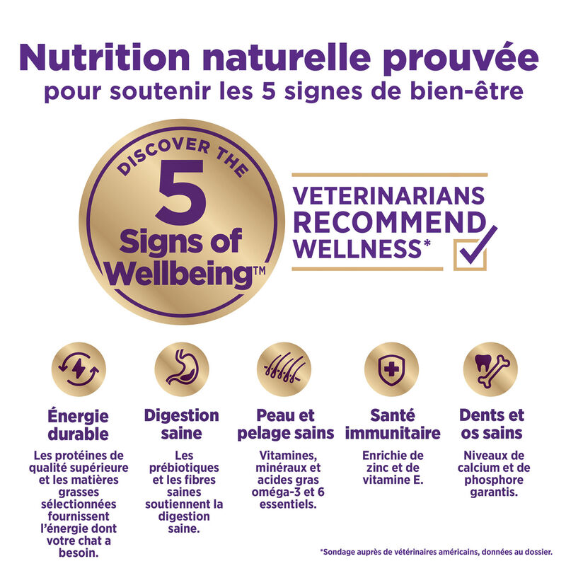 Wellness, Appetizing Entr&eacute;e - Flaked Tuna, Mackerel & Shrimp in Broth - Wet Cat Food image number null