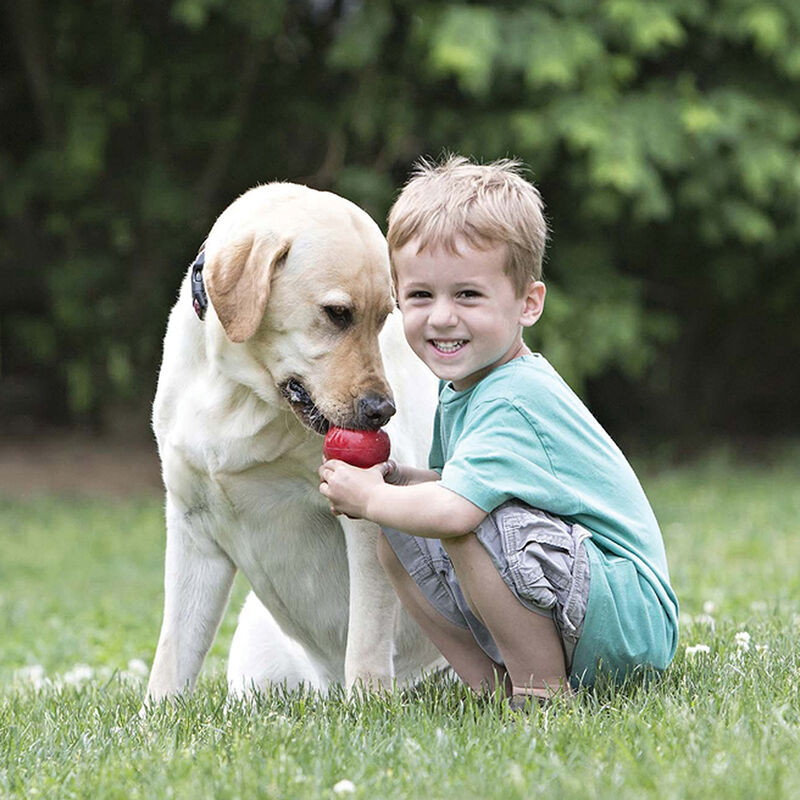 KONG, Classic - Red - Chew Dog Toy image number null