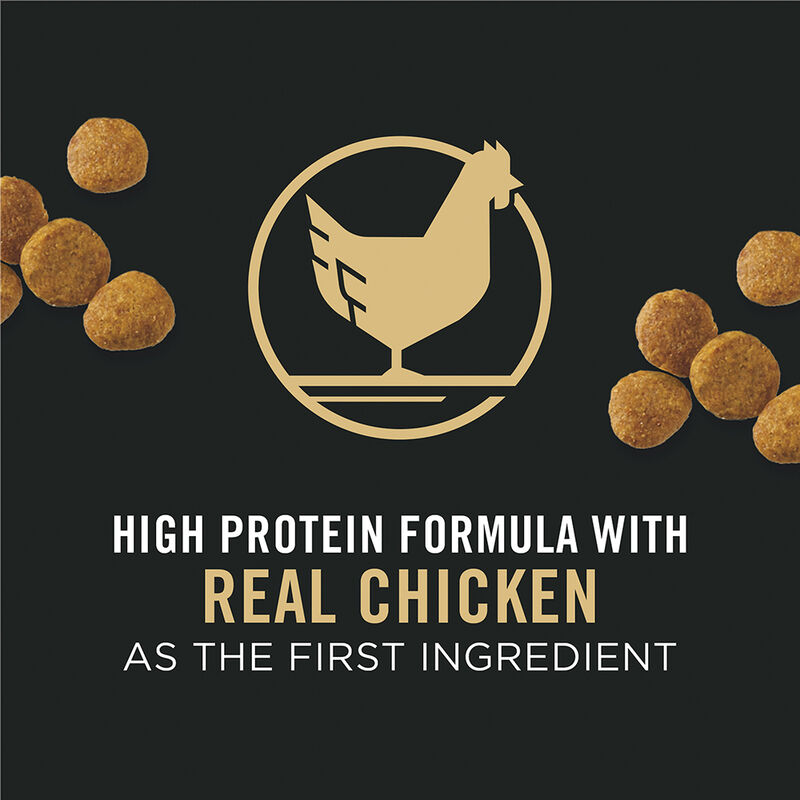 Purina Pro Plan Development Under One Year Puppy, Chicken & Rice Dry Dog Food Formula image number null