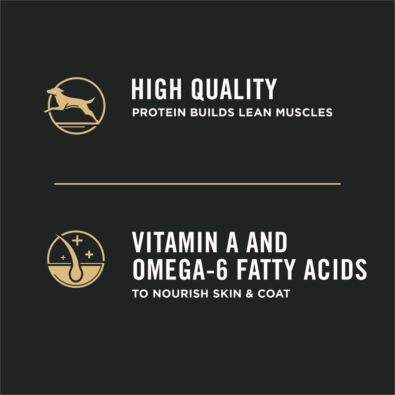 Purina Pro Plan Development Under One Year Puppy, Chicken & Rice Dry Dog Food Formula image number null