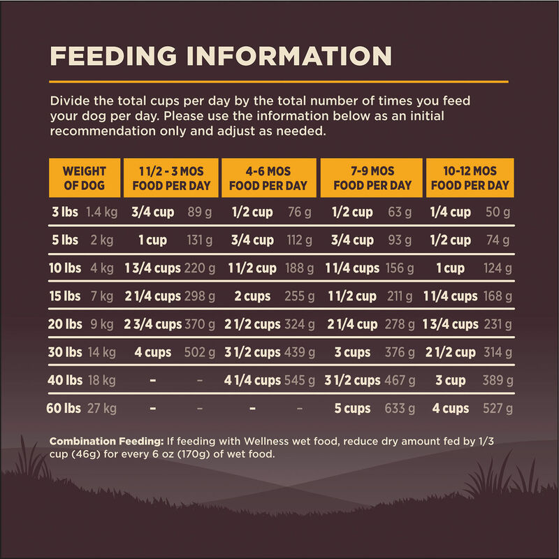 Wellness, Core, Grain Free Puppy - Dry Dog Food image number null