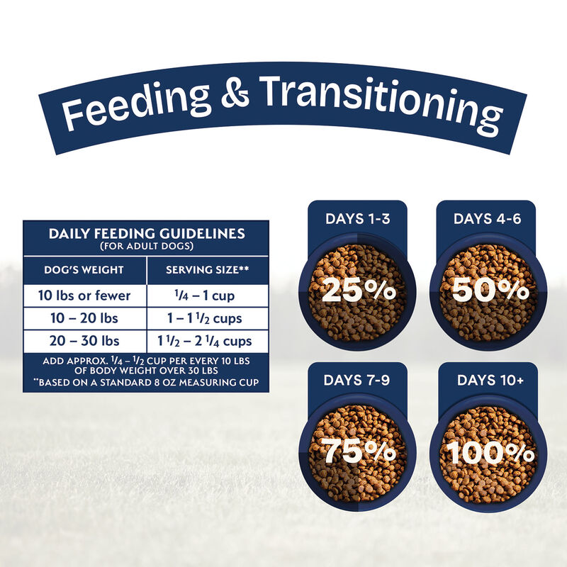 Natural Balance, Health Protection Small Breed - Real Chicken, Brown Rice & Pumpkin Recipe - Dry Dog image number null