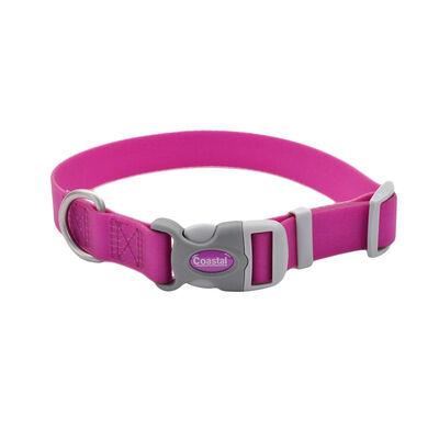 Adjustable Waterproof Collar, Purple, Medium - 1" x 14-20"