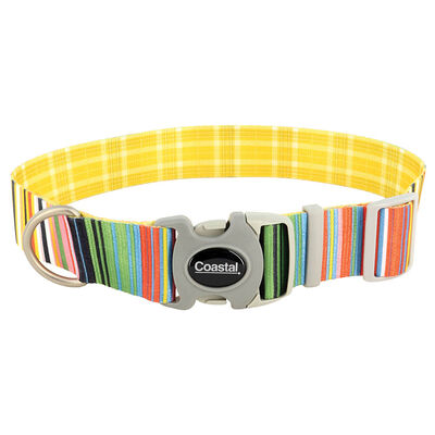Adjustable Dog Collar, Stripe with Gold Plaid, Medium - 1" x 12"-18"