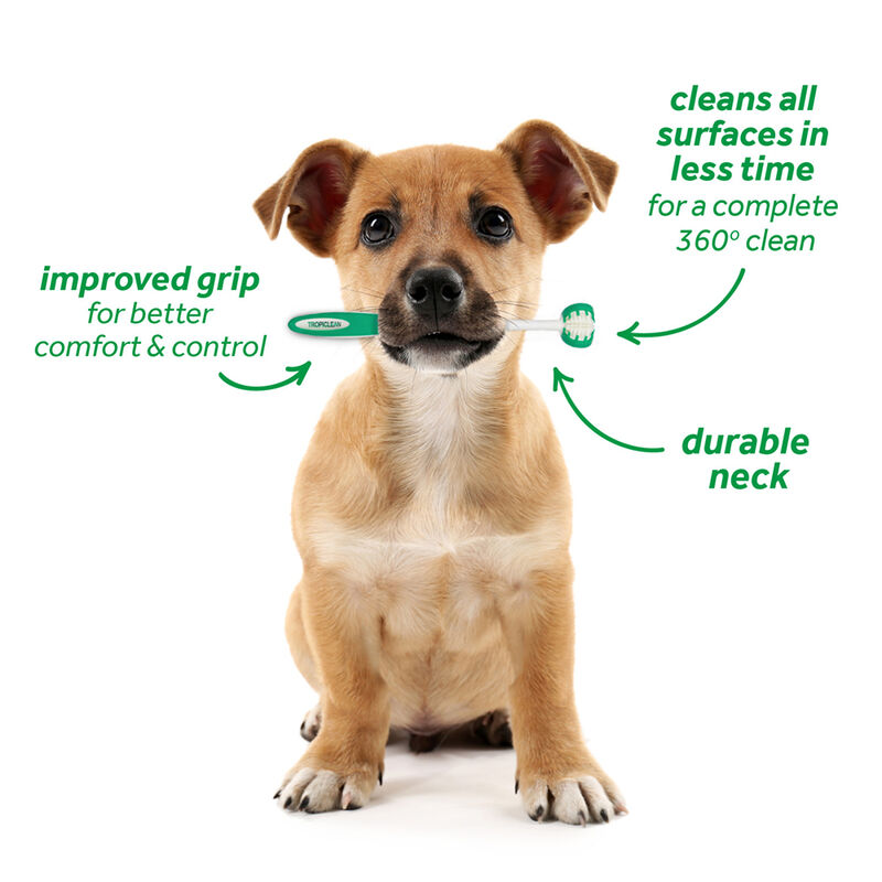 Tropiclean, Puppy, Dental Fresh Breath Oral Care Kit - 2 oz image number null