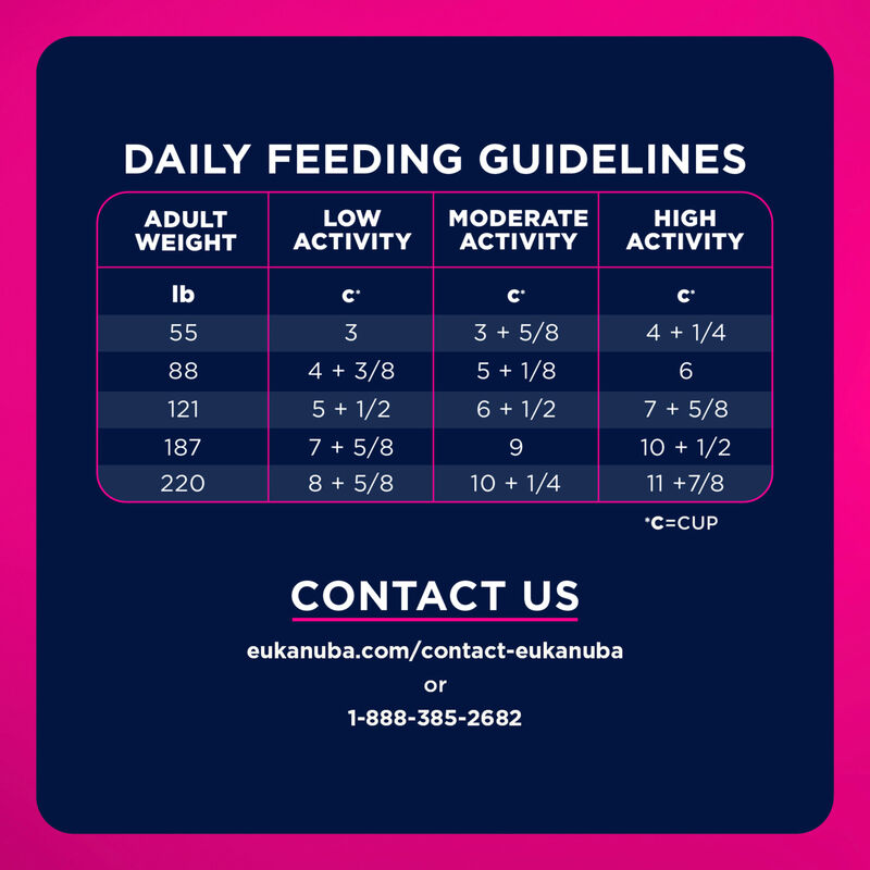 Eukanuba, Weight Management Large Breed - Dog Dry Food image number null