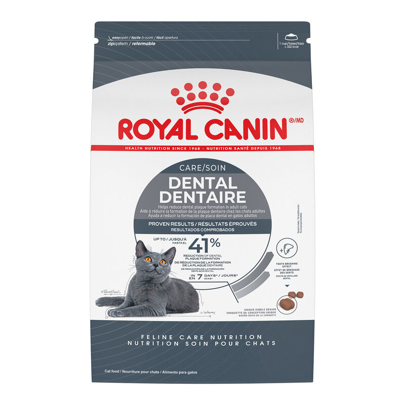Royal Canin, Feline Care Nutrition - Dental Care - Dry Cat Food image number null