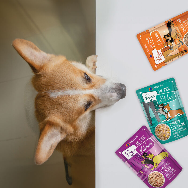 Weruva, Pouch, Adult - Funk in Trunk - 80 g - Minced - Wet Dog Food image number null