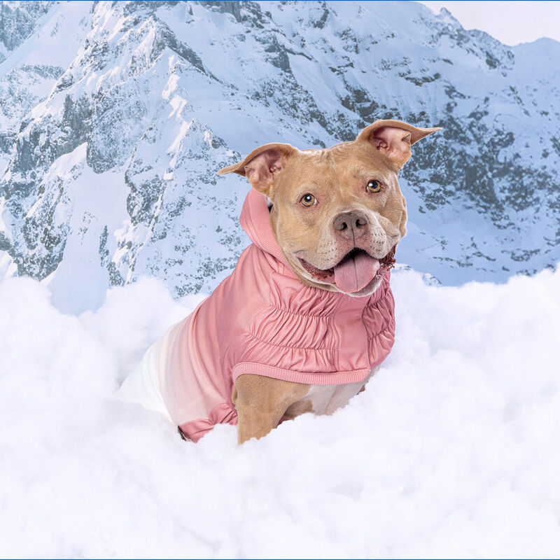 GF Pet, Good Vibes Hoodie - Pink image number null