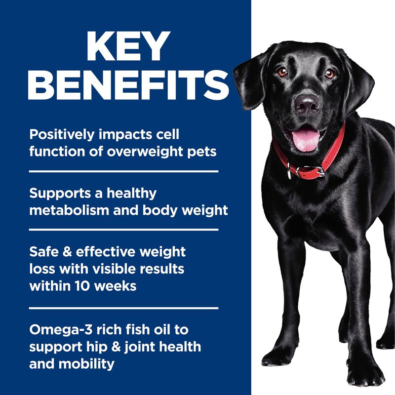 Science Diet, Large Breed Perfect Weight & Joint Support Chicken Recipe - Dry Dog Food image number null