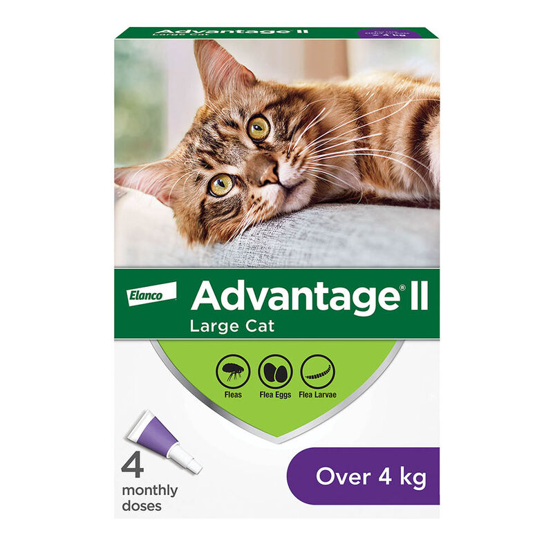 Advantage II, Large Cat Flea Treatment & Protection, 4kg+ image number null