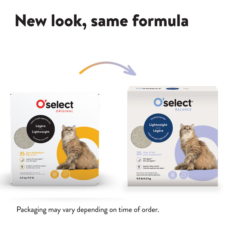 Lightweight Clumping Clay Litter - 4.5 kg image number null