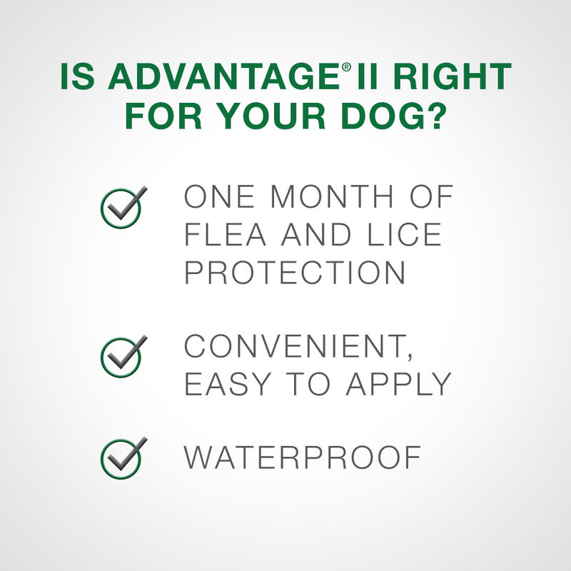 Advantage II, Extra Large Dog Flea Treatment & Protection, >25kg image number null